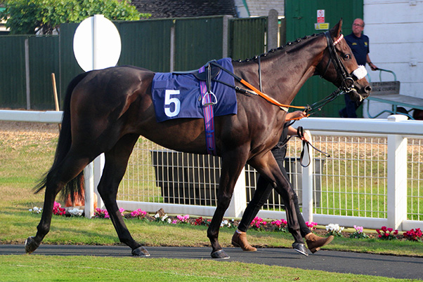 woody-yarmouth-600x400