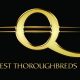questthoroughbreds